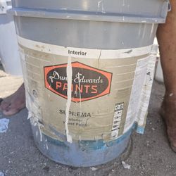 DunEdwars Paints 5 Gallons