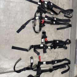Simpson 5 Point Harnesses 