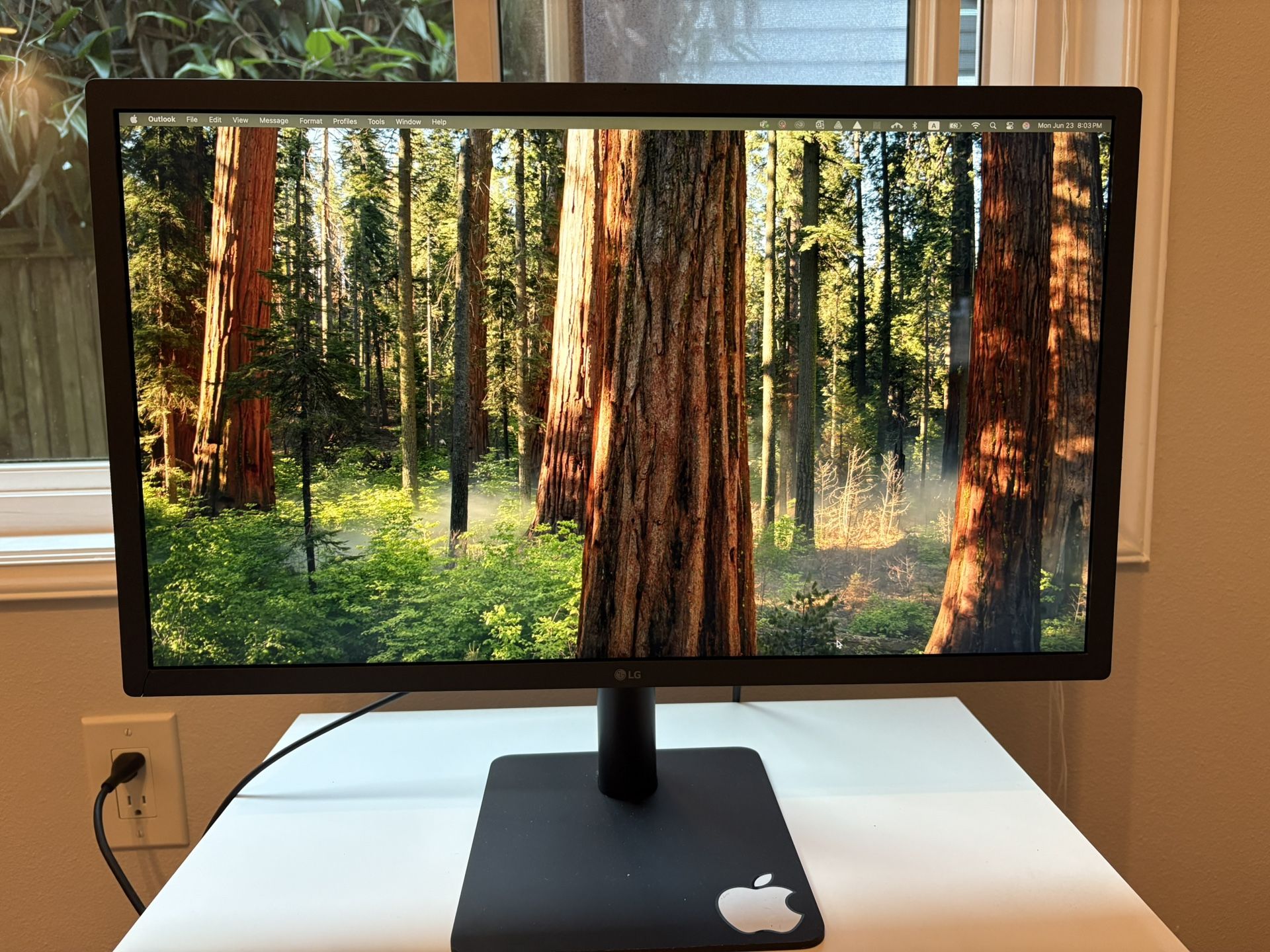 LG UltraFine 4K Monitor 24 Inch