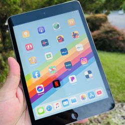 iPad Mini 2 