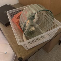 Hamster/rat/gerbil Supplies
