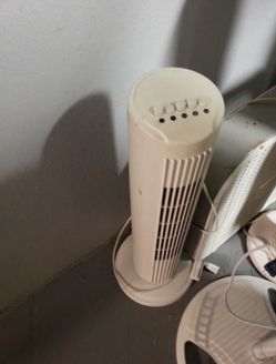 Fans