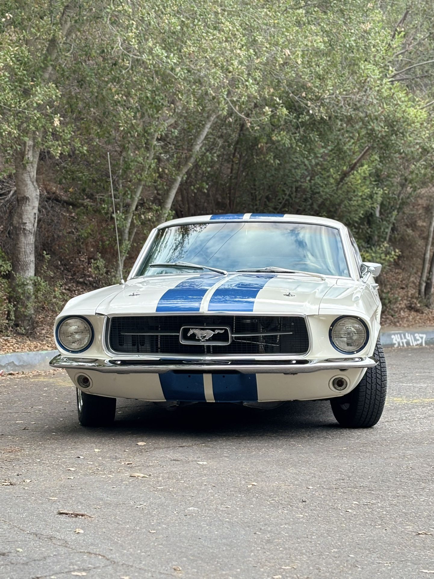 1967 Mustang Fastback