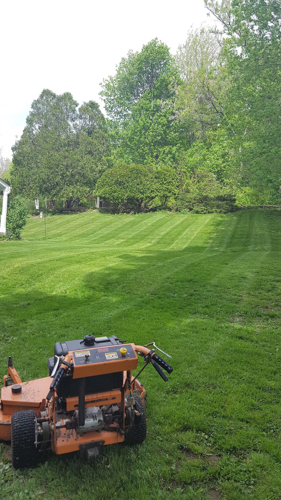 Mowing, spring cleanups and more