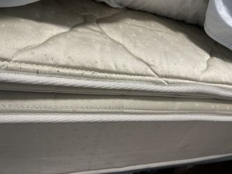 Full Mattress 
