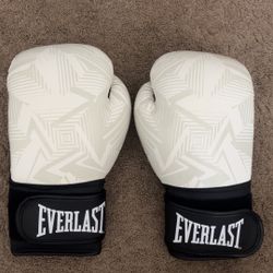 Everlast 12oz Boxing Gloves