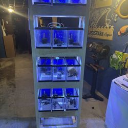 Reef Saltwater Aquarium, Fish Tank 