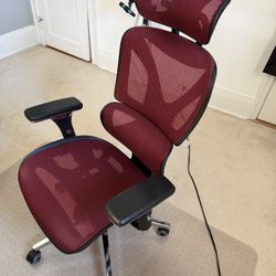 New Ergonomic Office Chair Oline ErgoPro