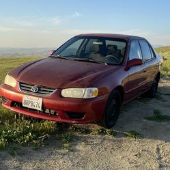 2002 Toyota Corolla