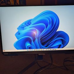 Samsung 240Hz 25" 1080p Flat Screen Monitor