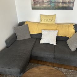 Grey Couch Set
