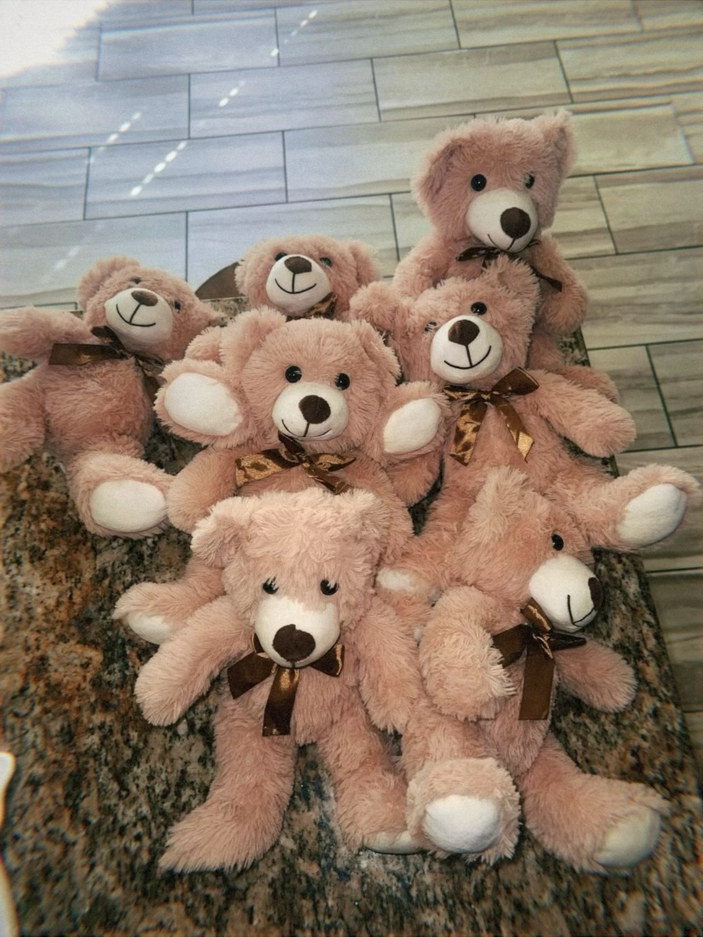 Teddy Bears 🧸
