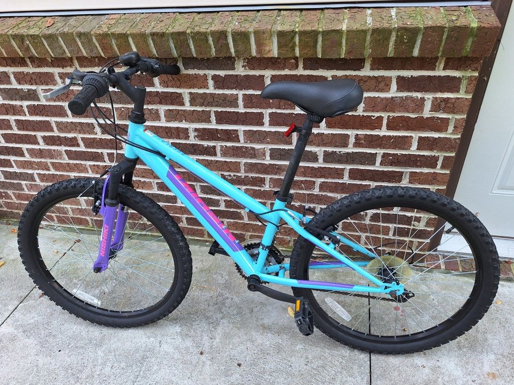24" Bike Pueblo Blue