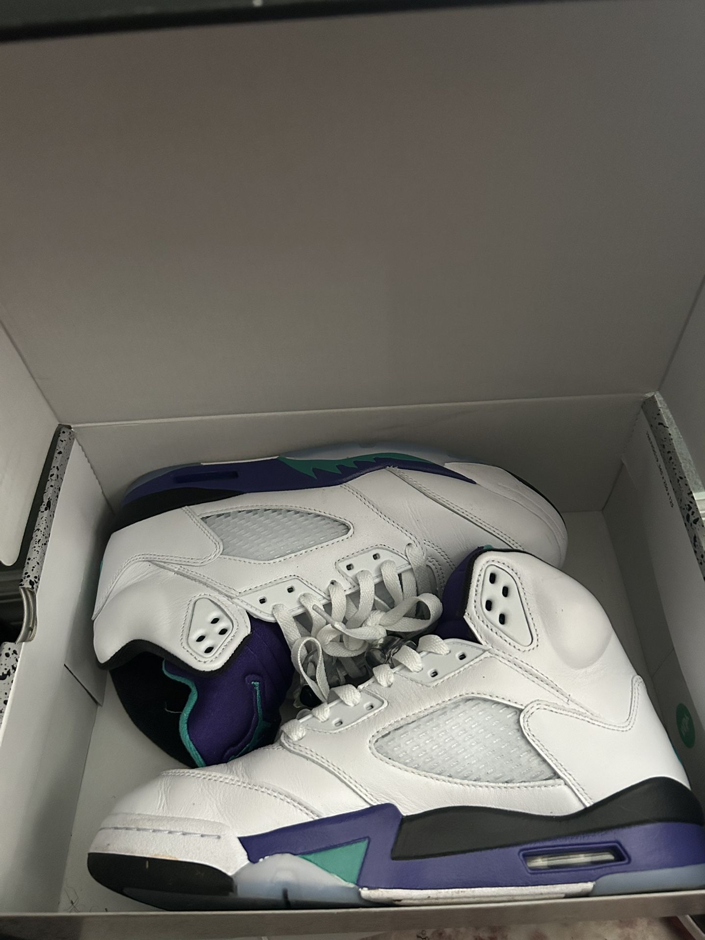 Jordan Grape 5s Size 9