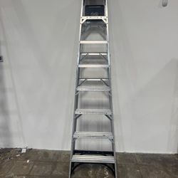 Metal Ladder - 8 Ft