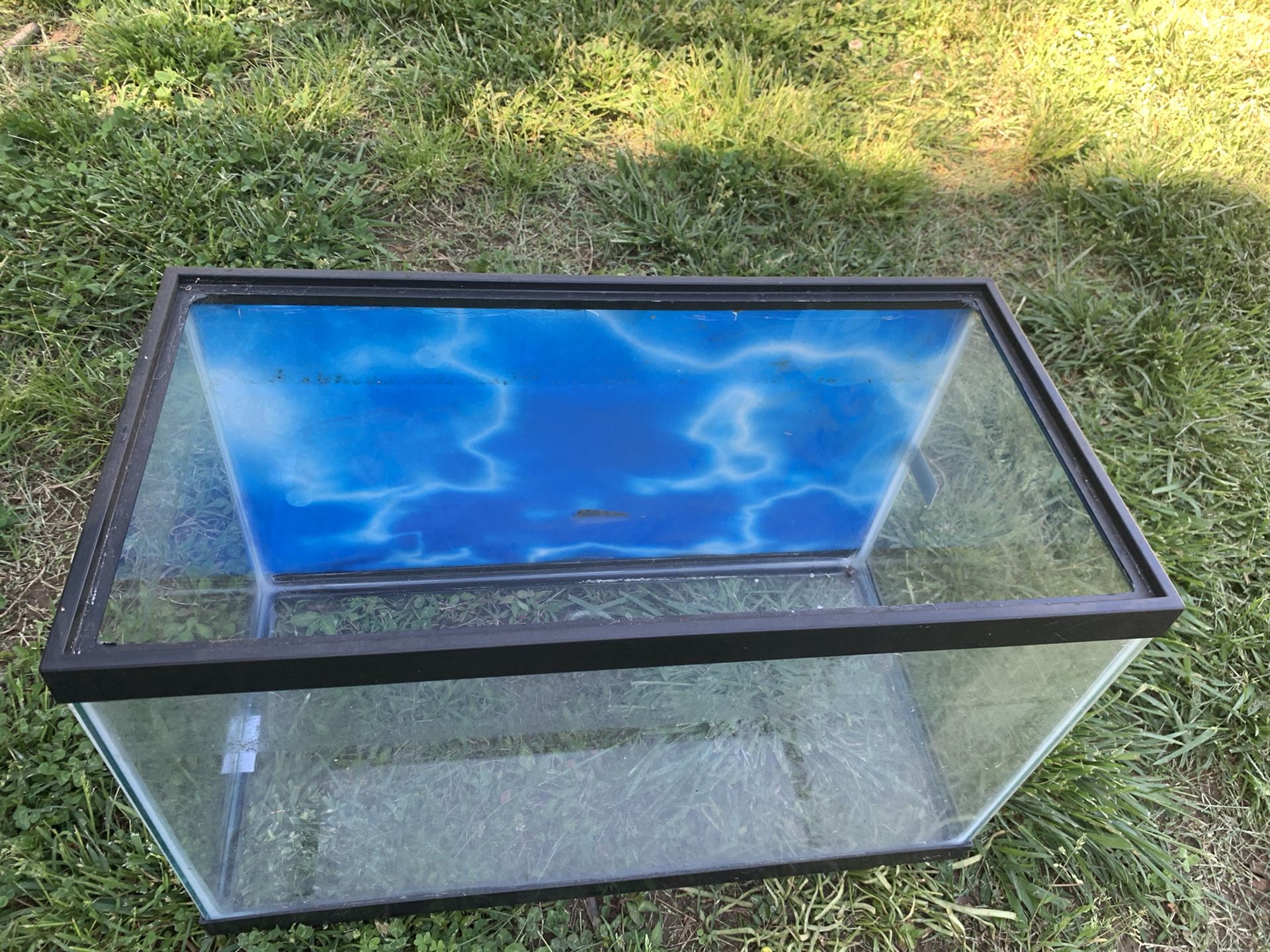 10 gallon tank