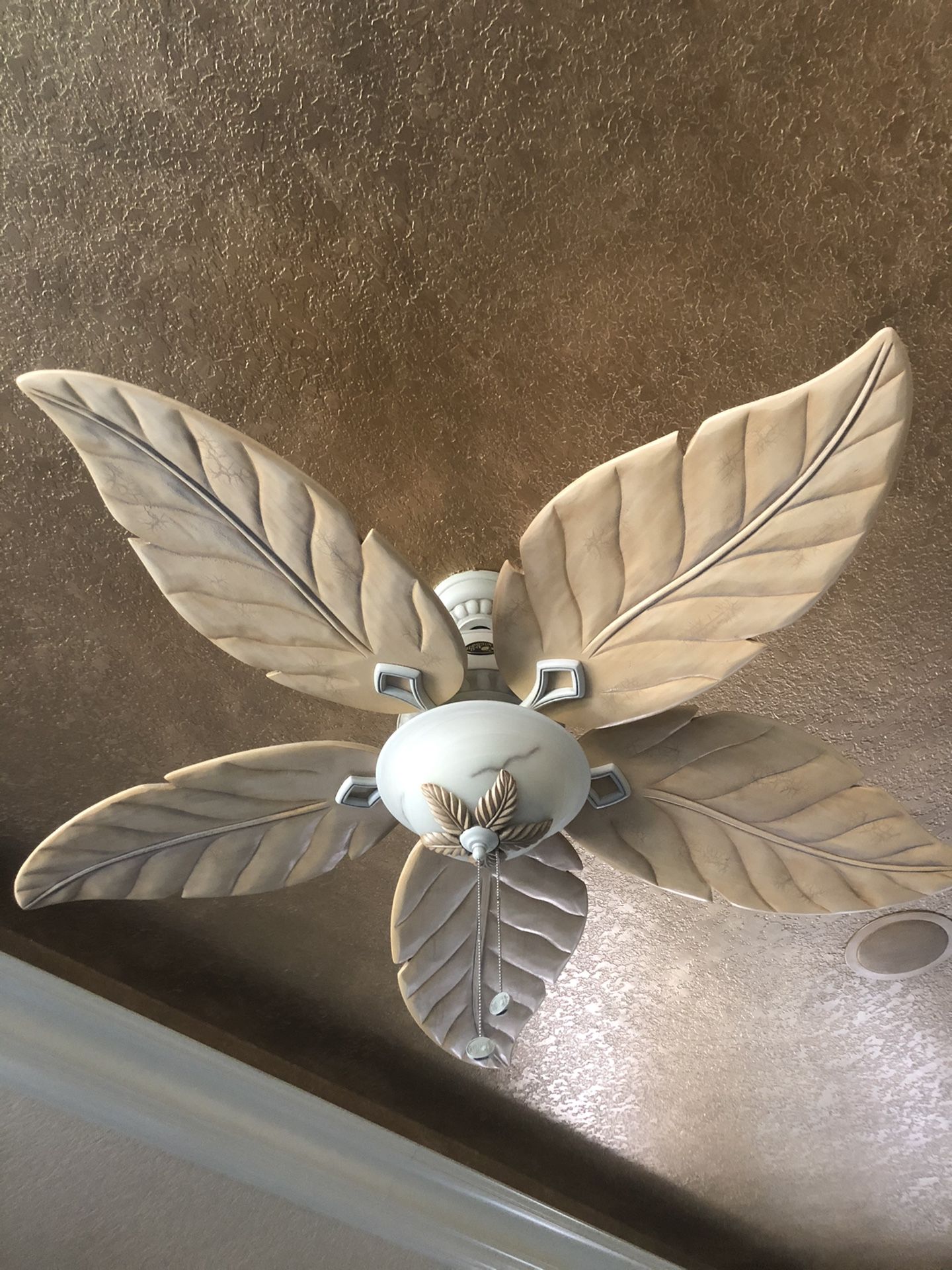 Ceiling fan with light