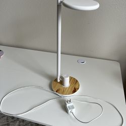  LED Desk Lamp with USB Charging Port
