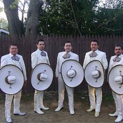 Violin vihuela mariachi