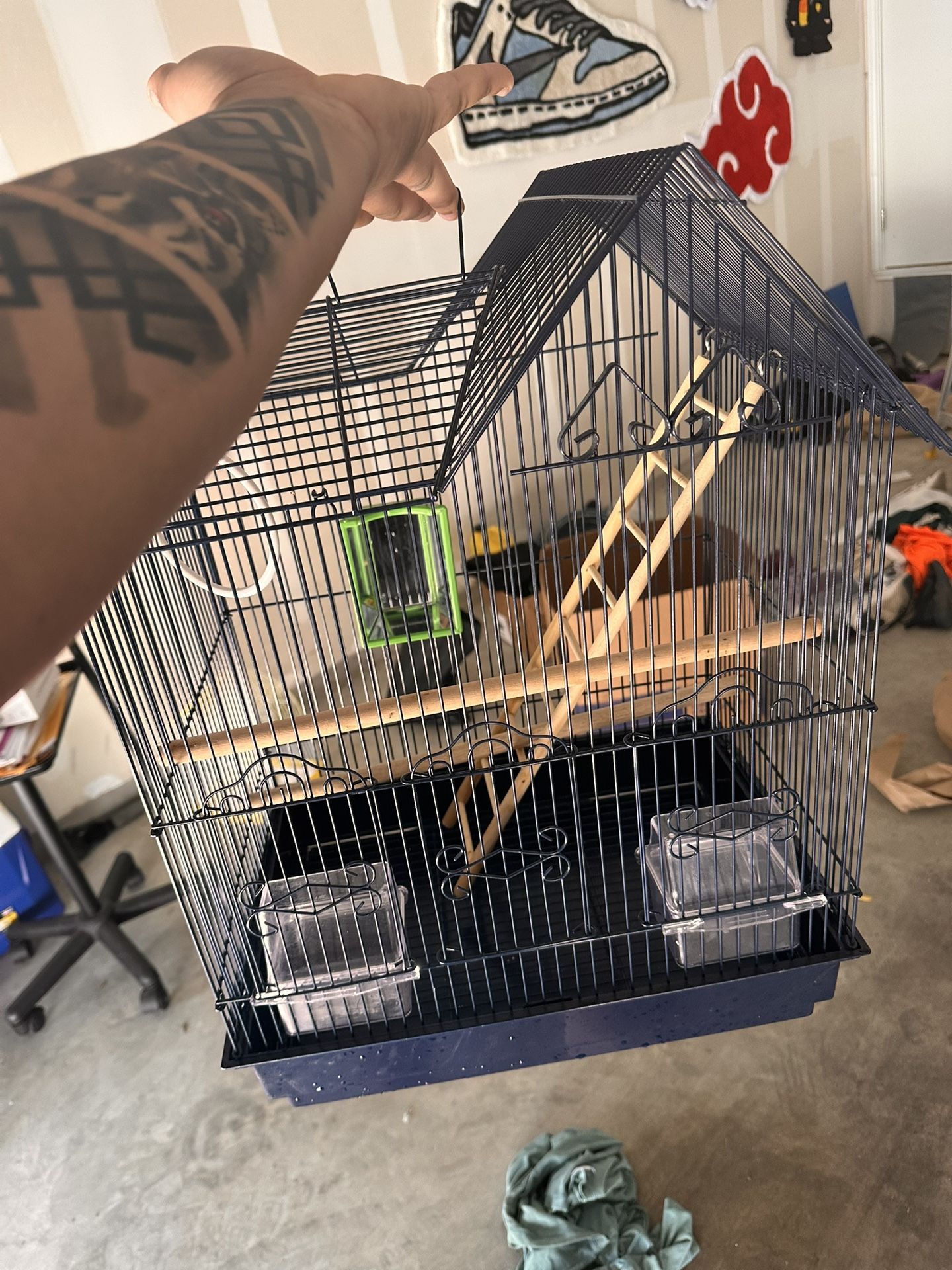 Bird Cage