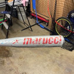 Cat X 29” Baseball Bat