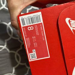 Panda Nike Dunks 