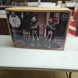 Animated Musical Skeleton Duet, New In Box