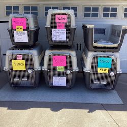 Dog XX Large Kennels