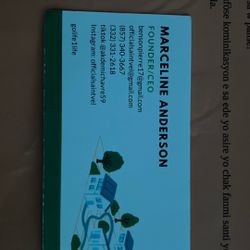 I do moving, cleaning, and painting.