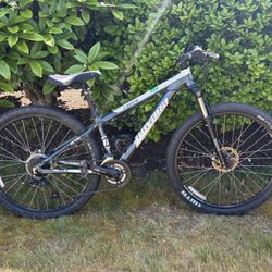 Novara Mountain Bike