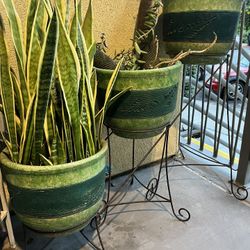 Plants With 3 tier Planter 
