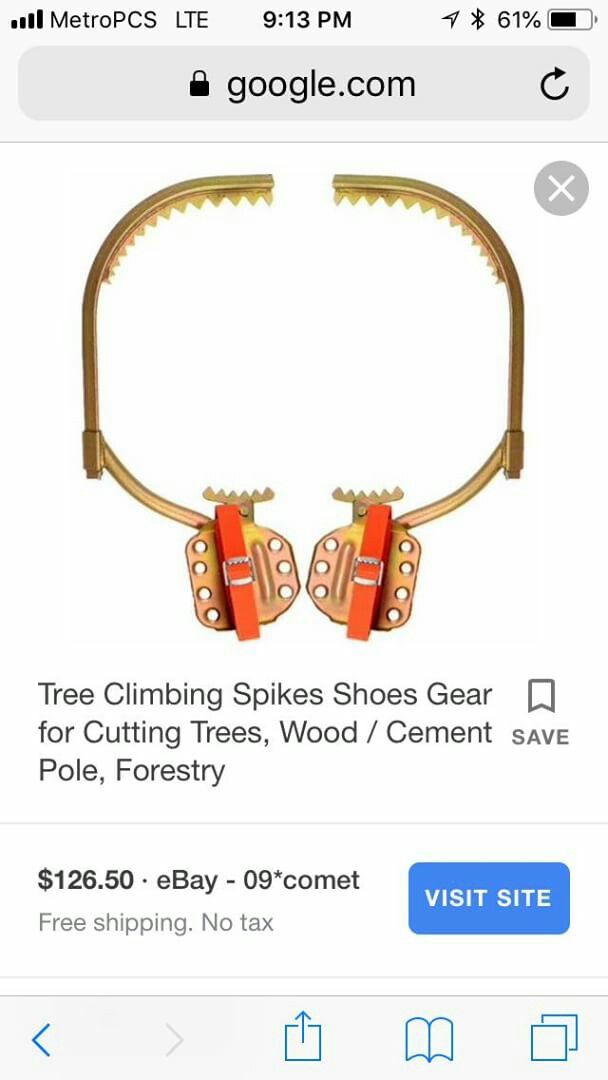 New!!! Tree Climbing Gear