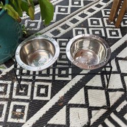 Dog Water Bowl Stand Set