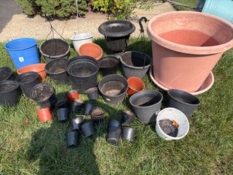 Pots! Over 30 pots of all sizes!
