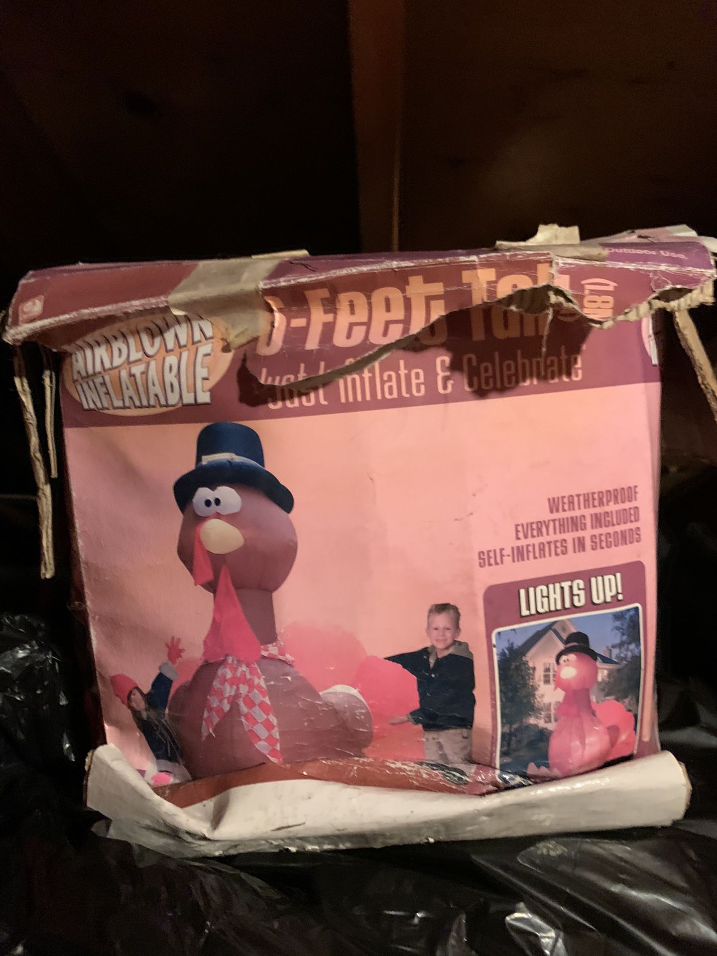 Inflatable turkey