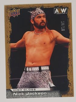 2022 Upper Deck AEW Bundle The Elite w/Very Rare 10/10 High Gloss card
