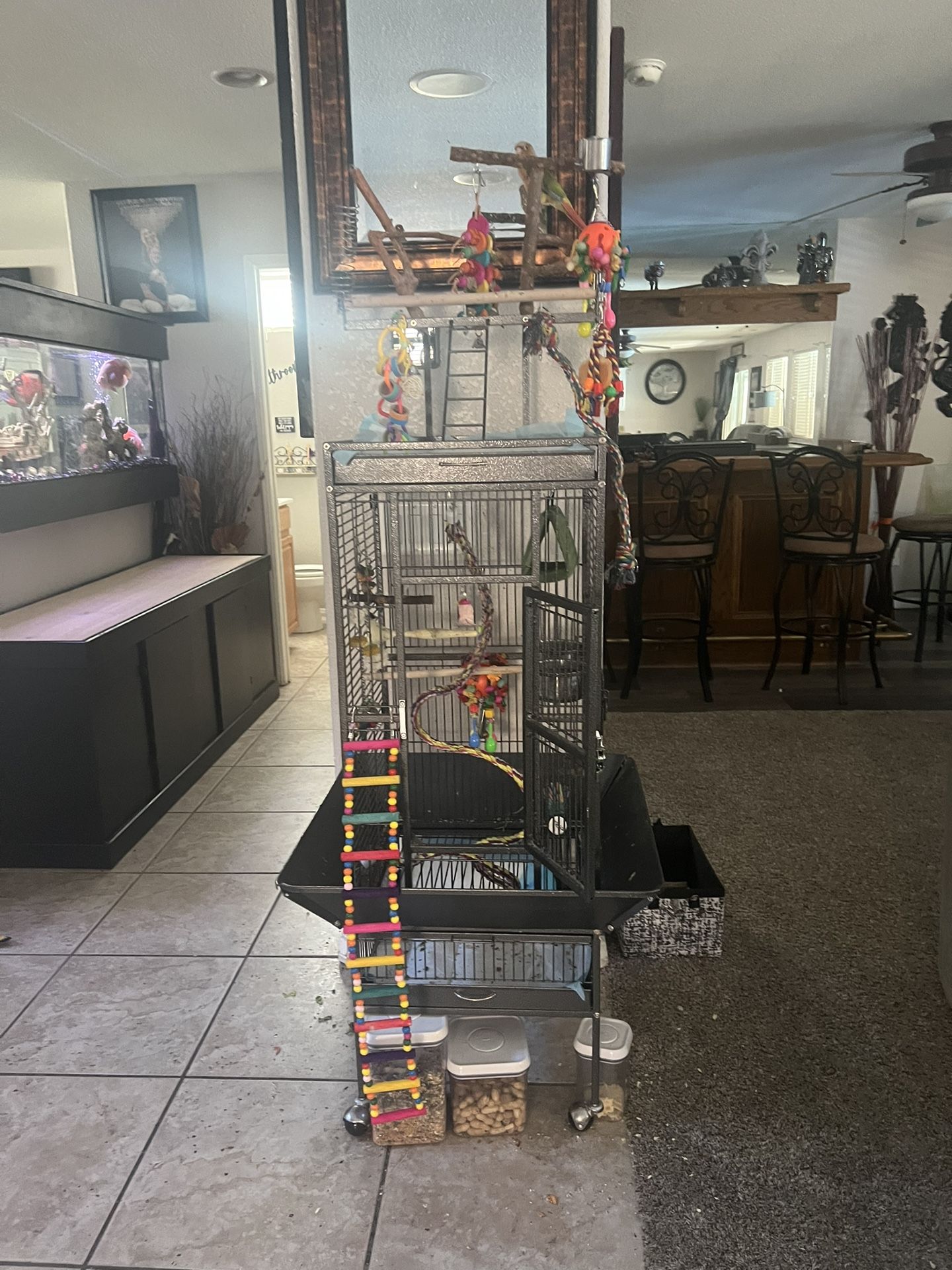 Bird Cage
