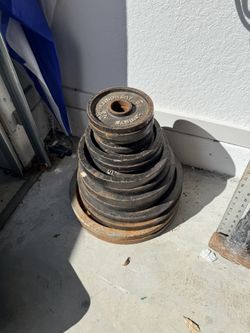 Gym Weights