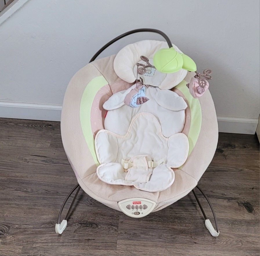 Fisher Price Bouncers ,Swings Jumpers , Seat, Portable 3C Batteries, Nature Sounds, Gently Used.