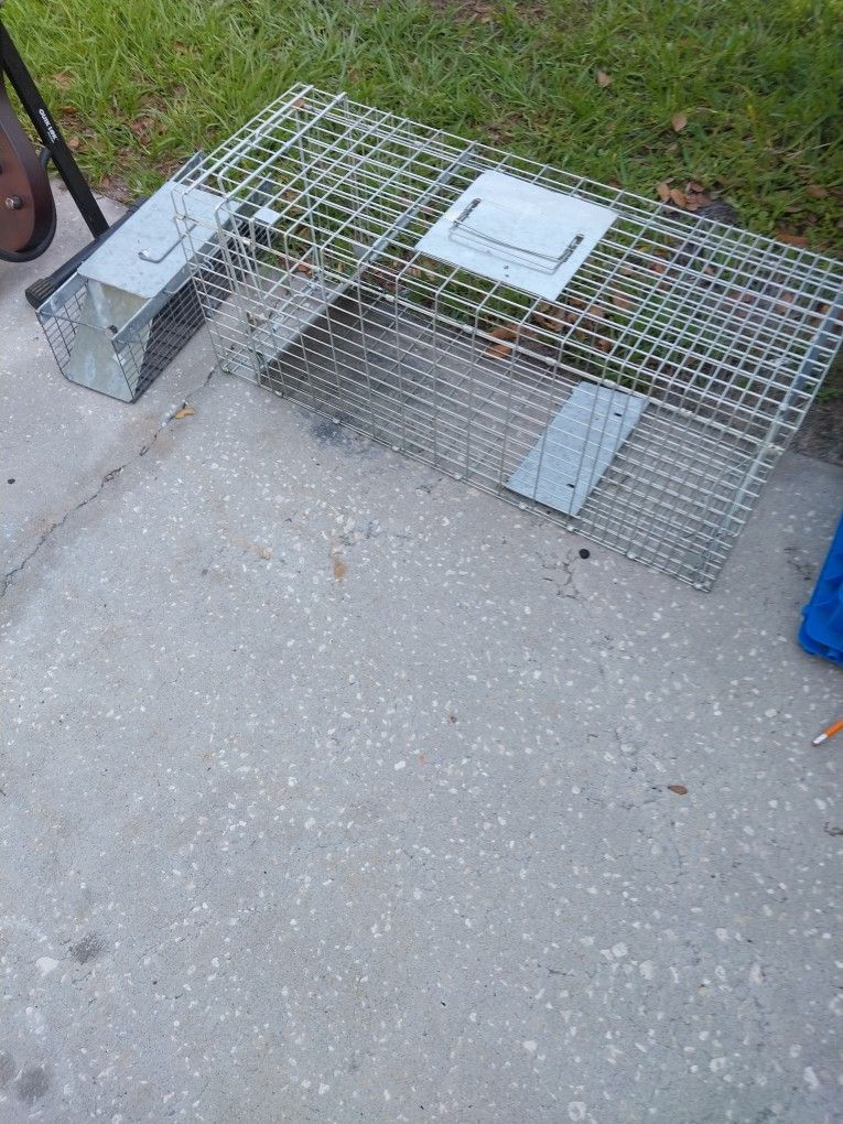 Animal Traps 