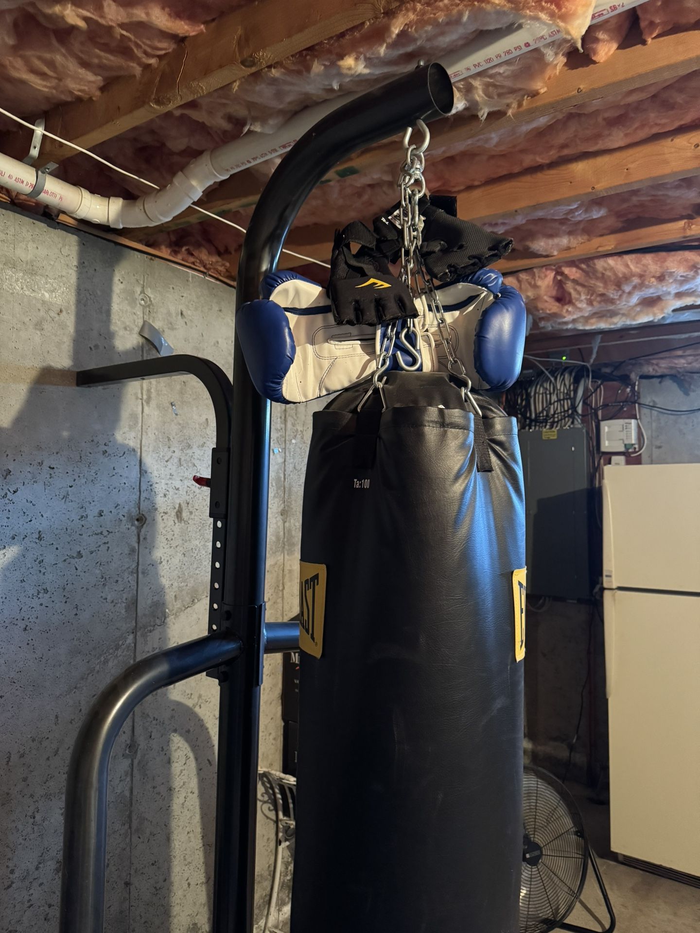 Everlast Punching Bag And Stand