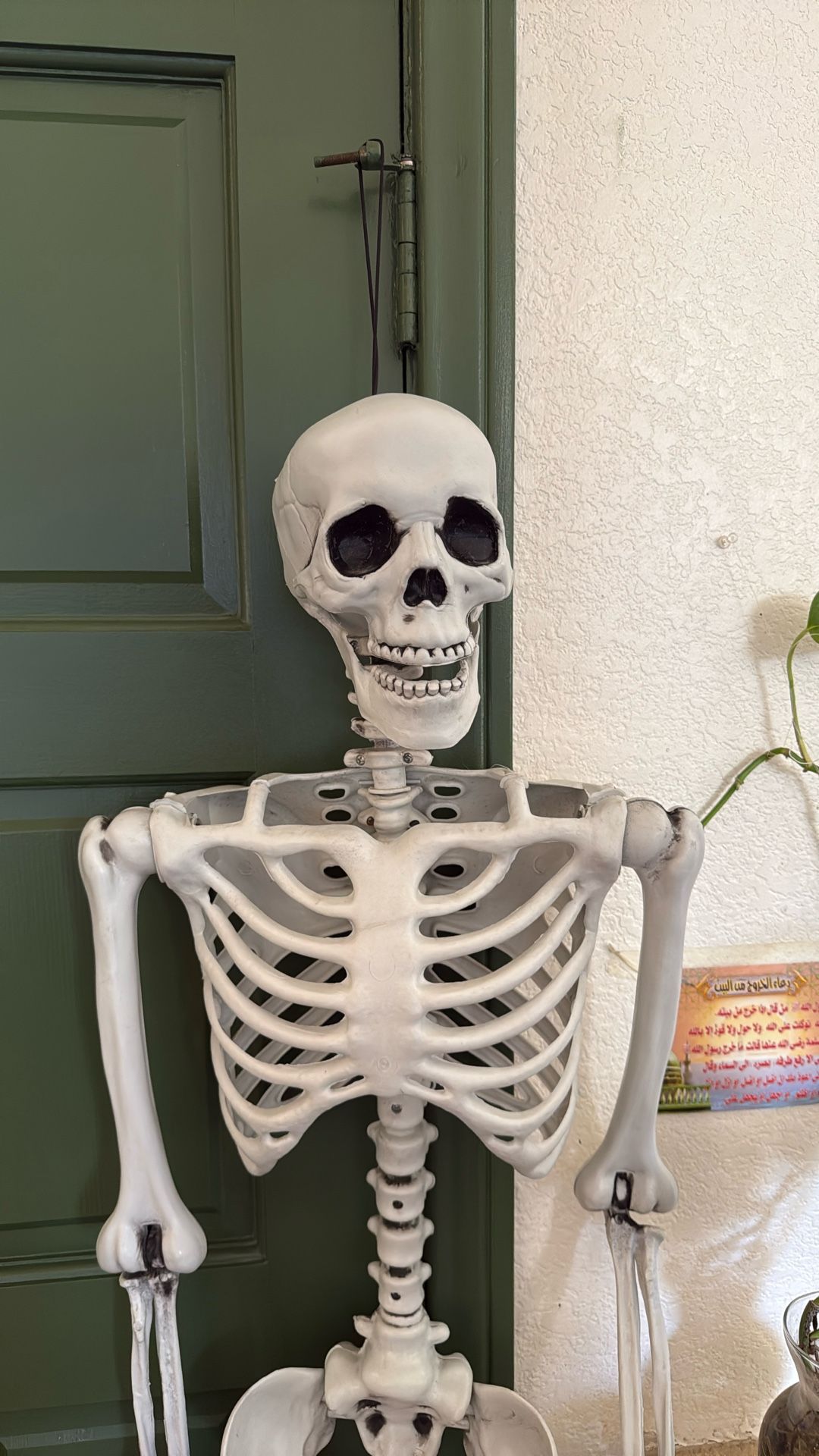 Halloween Skeleton Decorations