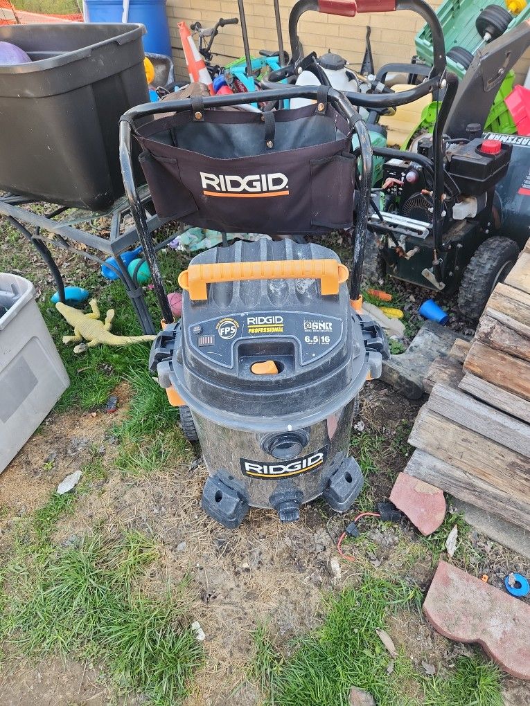 Rigid professional