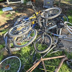 Free everything!  Bikes, furniture, racks, carts, mowers, wires, metal scraps and more!

