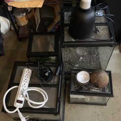 Lot of 4 Glass Terrariums/Enclosures and Accessories