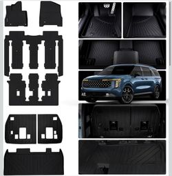 Kia carnival all Weather floor mats