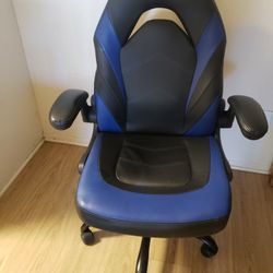 Gamer Chair / Desk Chair