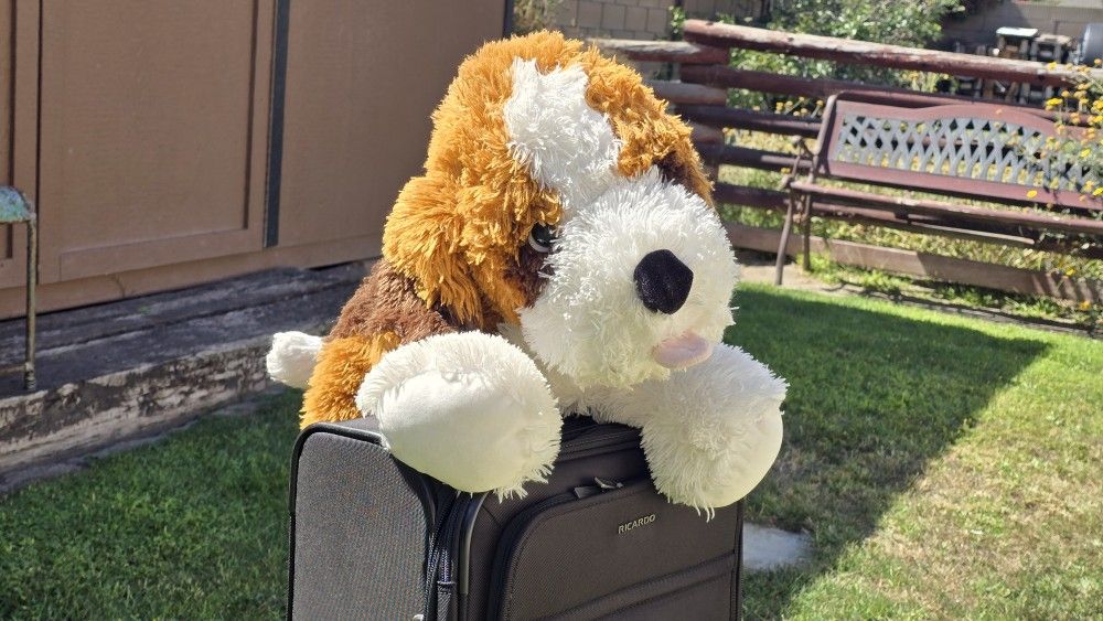 Stuffed animal doggie! 🐶