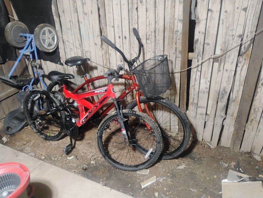 Seachange Beach Cruiser And A next Gavntlet