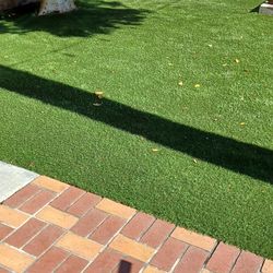 Artificial Grass Turf